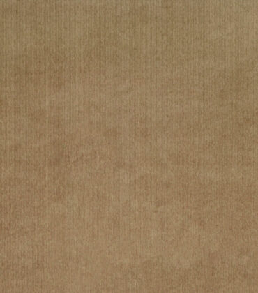 Truffle Chenille Swatch| Reeva Sethi Fabrics