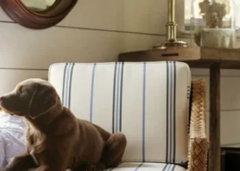 Warm Minimalism: The Bay Area’s Favorite Design Trend in 2026