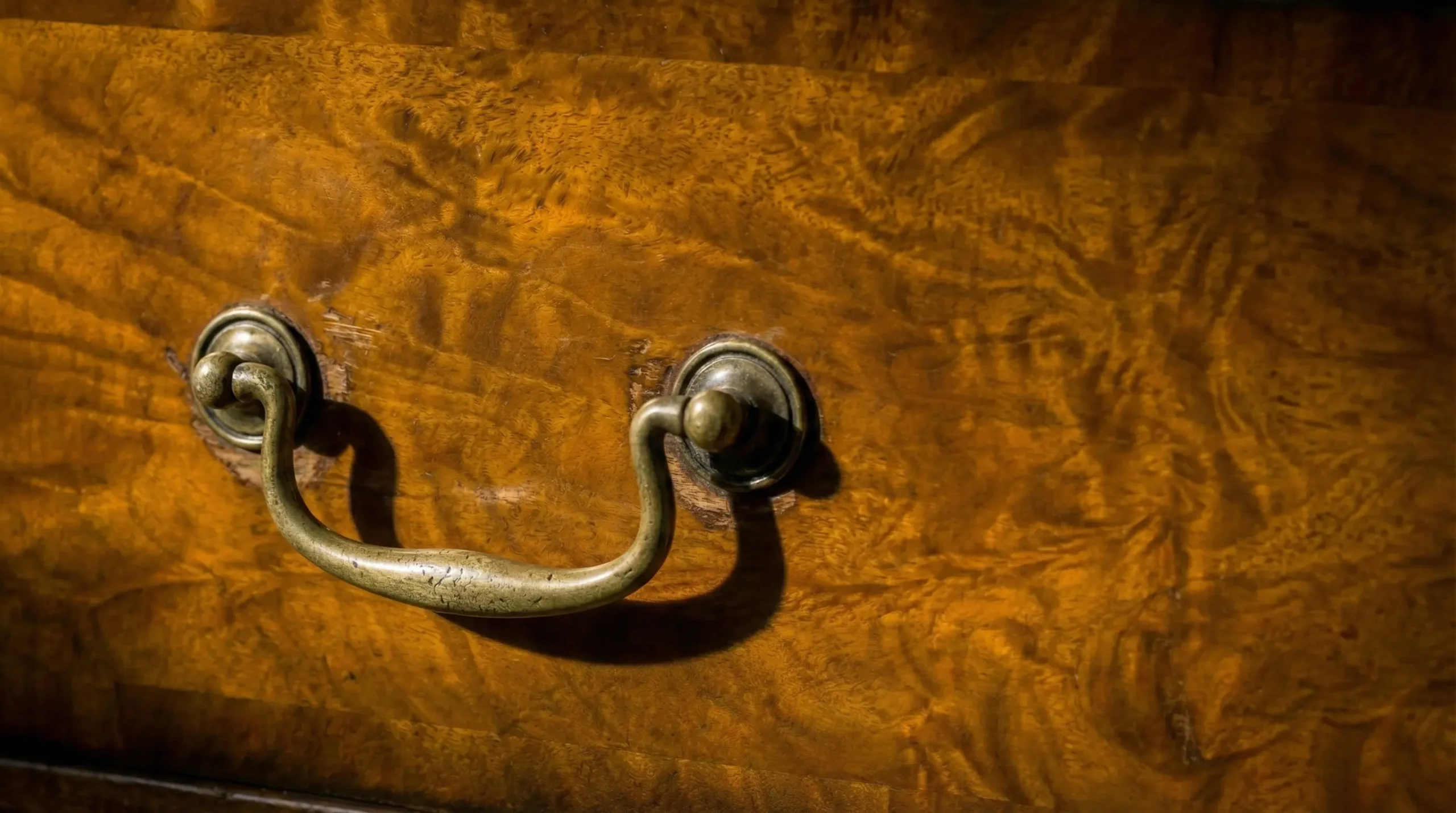 The Collected Aesthetic