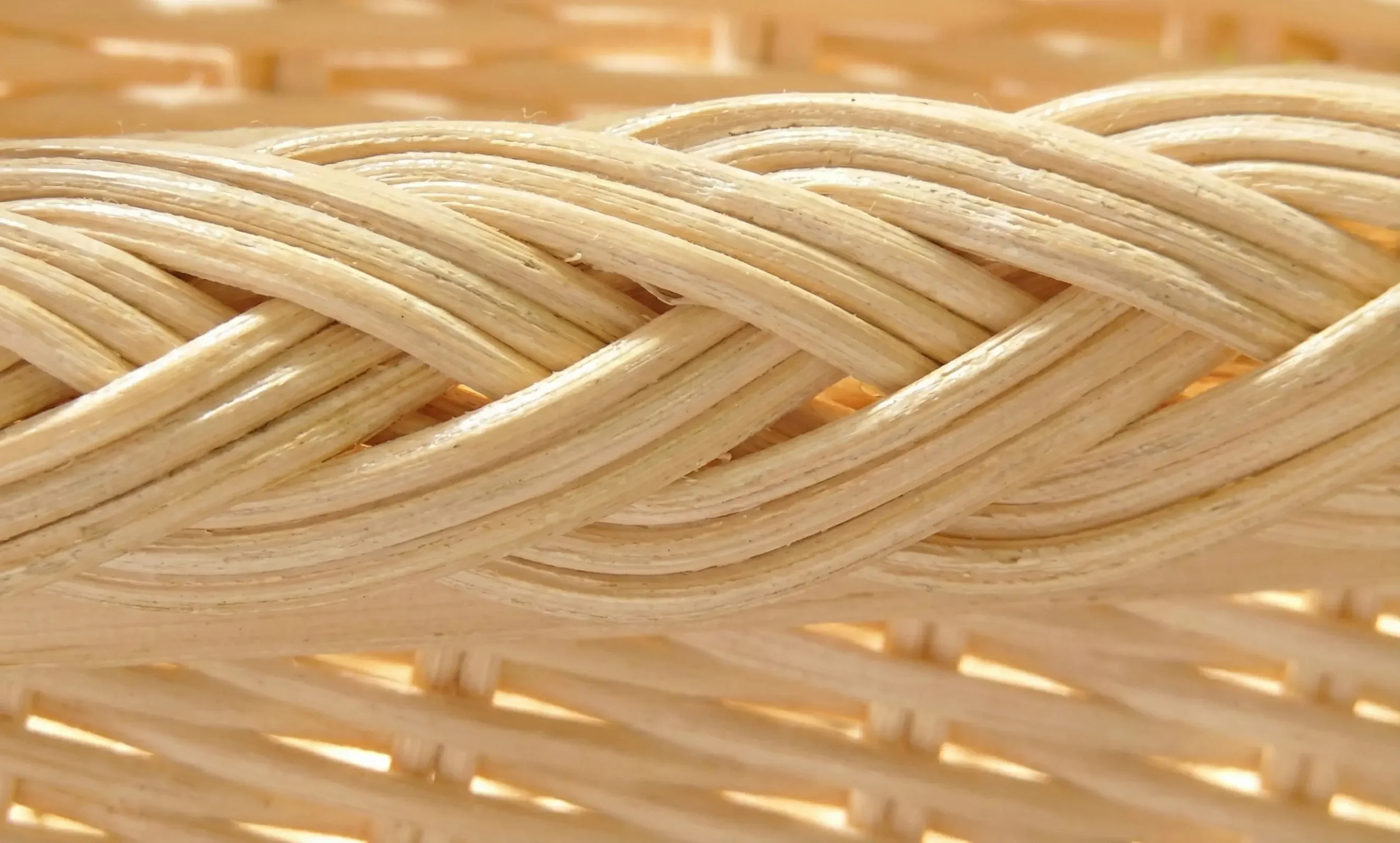 Close-up detail of high-quality wicker weaving technique showing a tight braided rim on a natural rattan piece